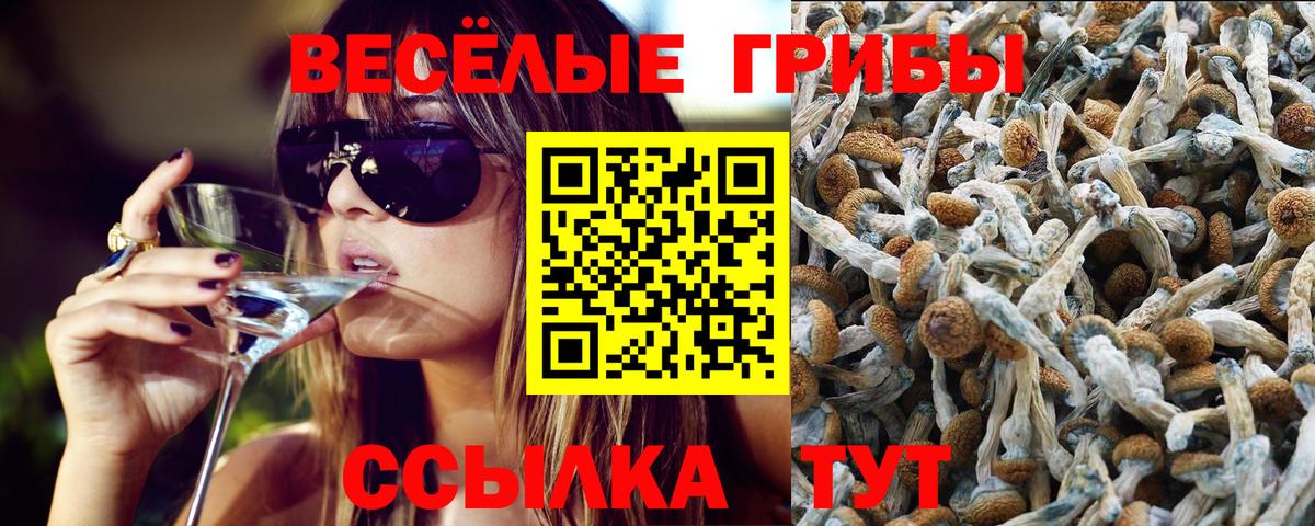 Благовещенск  Галлюциногенные грибы мицелий  где продают наркотики  Вход с VPN 